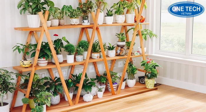 Kệ trưng bày cây cảnh dạng bậc thang nhiều tầng dễ sắp xếp