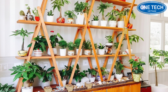 Mẫu kệ để cây cảnh đẹp giá tốt của OneTech dễ ứng dụng trong gia đình