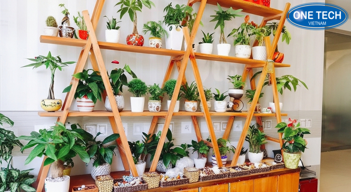 Kệ đứng đa tầng tạo mảng xanh cao, hợp showroom và sảnh